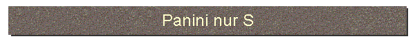 Panini nur S